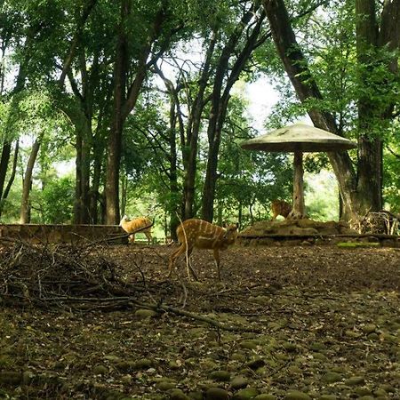 Arimbi Pejaten Suites Jakarta Kültér fotó
